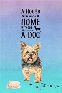 A House is Not a Home Without a Dog