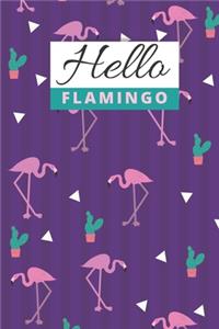 Hello Flamingo