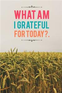 What Am I Grateful for Today?