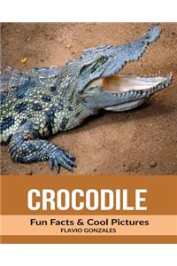 Crocodile: Fun Facts & Cool Pictures