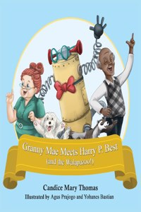 Granny Mae Meets Harry P. Best (and the Walapazoo)