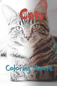 Cat Coloring Sheets