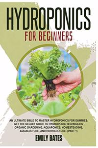 Hydroponics for Beginners