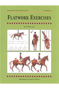 Flatwork Exercises
