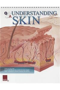 Understanding Skin Flip Chart