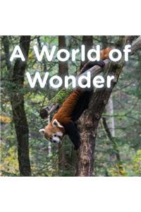 A World of Wonder