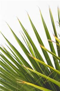 Palm Leaves Notebook