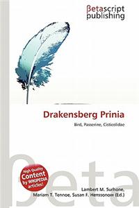 Drakensberg Prinia