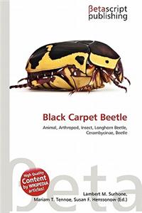 Black Carpet Beetle