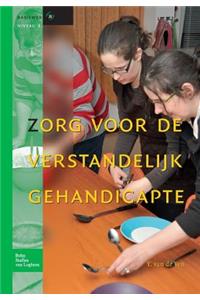 Zorg Voor de Verstandelijk Gehandicapte