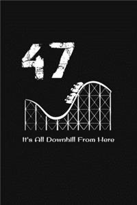 47th Birthday It's All Downhill From Here