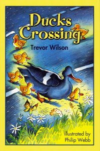 Skyracer Yellow â€“ Ducks Crossing: Pulse racing guided reading for year 3.