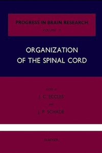 Organization of the Spinal Cord