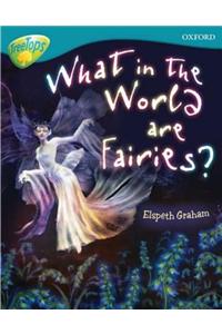 Oxford Reading Tree: Level 9: TreeTops Non-Fiction: What in the World are Fairies?