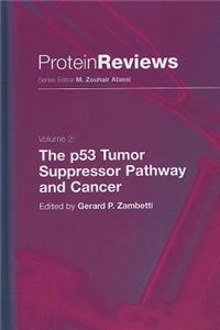 P53 Tumor Suppressor Pathway and Cancer