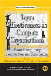 Team Effectiveness in Complex Organizations