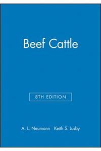 Beef Cattle