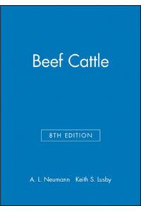 Beef Cattle