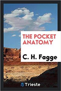The pocket anatomy