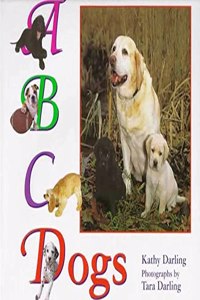 ABC Dogs