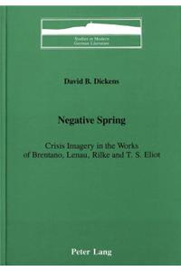 Negative Spring