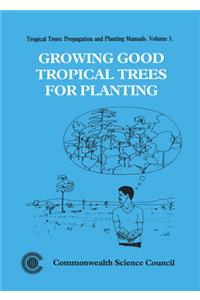 Growing Good Tropical Trees for Planting