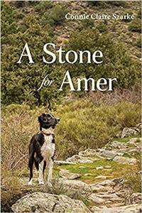 A Stone for Amer