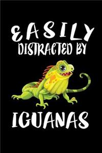 Easily Distracted By Iguanas