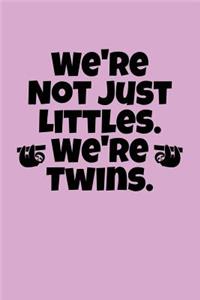 We're Not Just Littles. We're Twins.