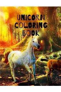 Unicorn Coloring Book