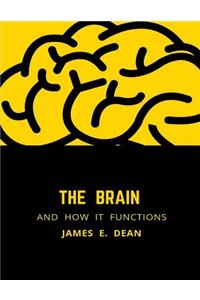 Brain and how it Functions