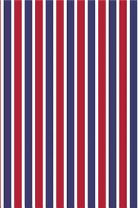 Patriotic Pattern - United States Of America 17