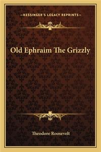 Old Ephraim The Grizzly