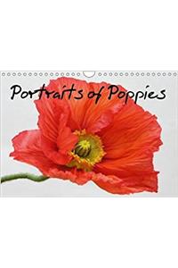 Portraits of Poppies 2018