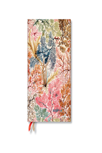 Paperblanks 2024 Anemone William Kilburn 18-Month Maxi Vertical Elastic Band Closure 208 Pg 80 GSM