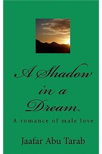 A Shadow in a Dream