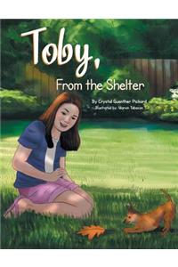 Toby, from the Shelter