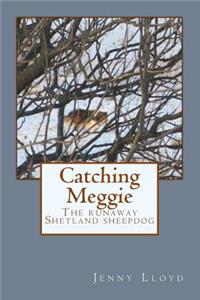 Catching Meggie the Runaway Shetland Sheepdog