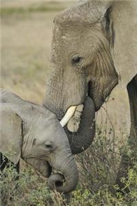 MindBlowing Elephant Journal 17