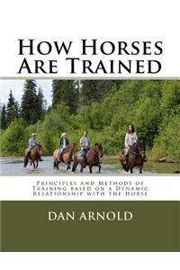 How Horses Are Trained