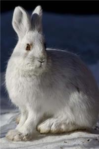 A Sweet White Snowshoe Hare in the Snow Journal