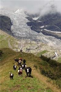 A Herd of Cows Grazing in an Alpine Meadow in the Summer Journal