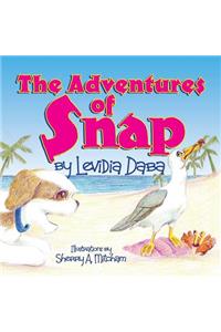 The Adventures of Snap