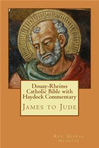Douay-Rheims Catholic Bible with Haydock Commentary