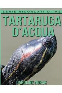 Tartaruga d'acqua
