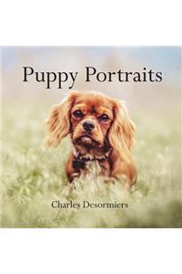 Puppy Portraits