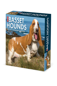 Basset Hounds 2022 Box Calendar