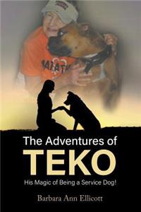 Adventures of TEKO