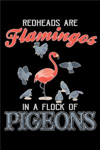 Redheads are flamingos in a flock of pigeons