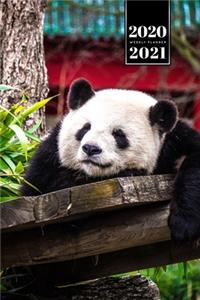 Panda Bear Week Planner Weekly Organizer Calendar 2020 / 2021 - Too Tired